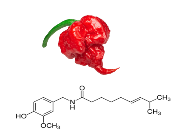 Capsaicina